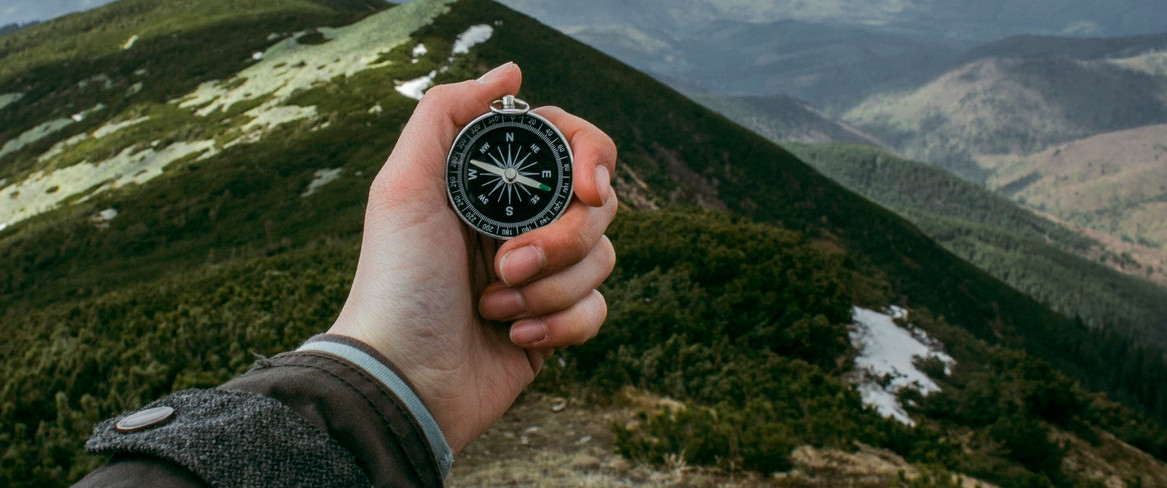 Starting Your Training